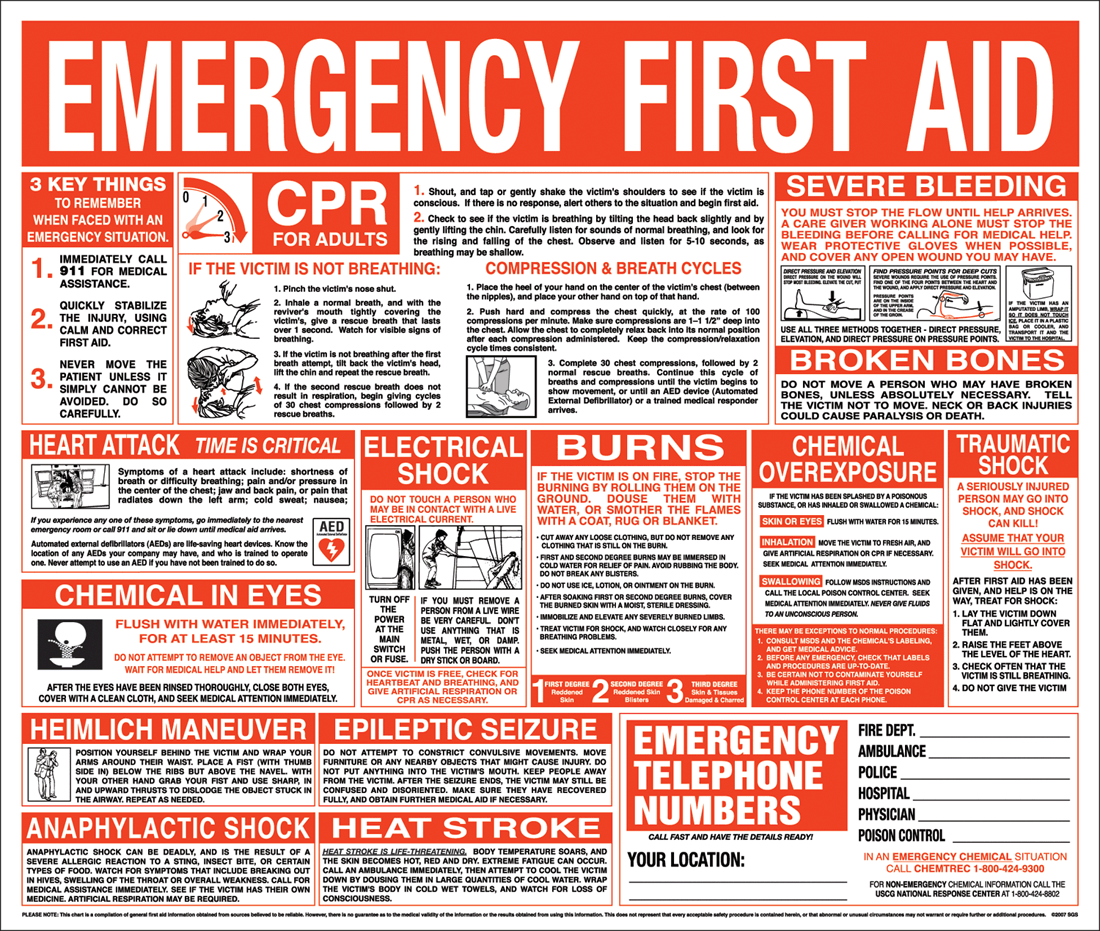 Emergency First Aid Wall Chart 22″ x 26″ | First Aid Supply ...